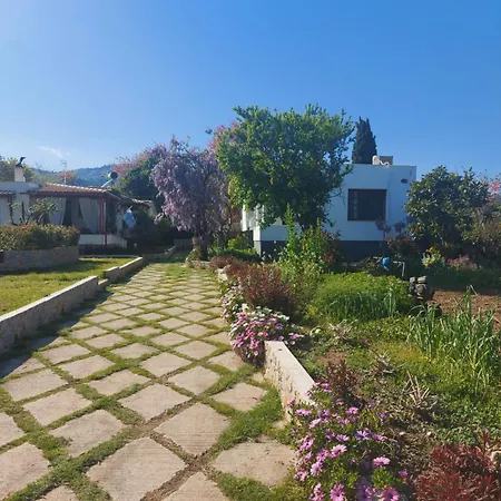 Villa Vicky's Garden Skiathos Town