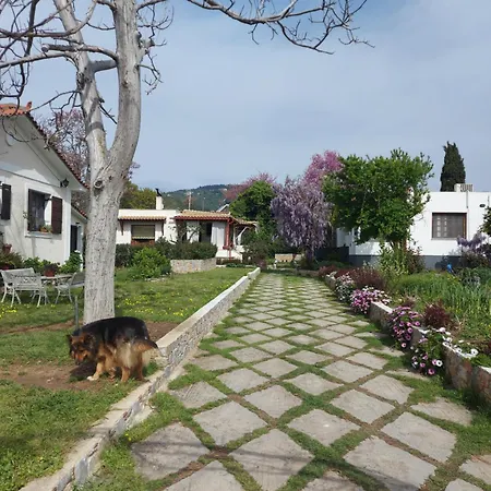 Villa Vicky's Garden Skiathos Town